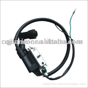 Dy100 Ignition Coil